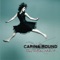 Downslow (Acoustic Version) - Carina Round lyrics