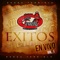 A Traves Del Vaso - Banda Terrible lyrics
