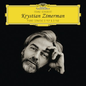Piano Sonata No. 20 in A Major, D. 959: II. Andantino
