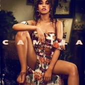 Camila Cabello - Never Be the Same (Radio Edit)