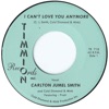 I Can't Love You Anymore - Single