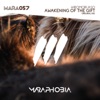 Awakening of the Gift - Single