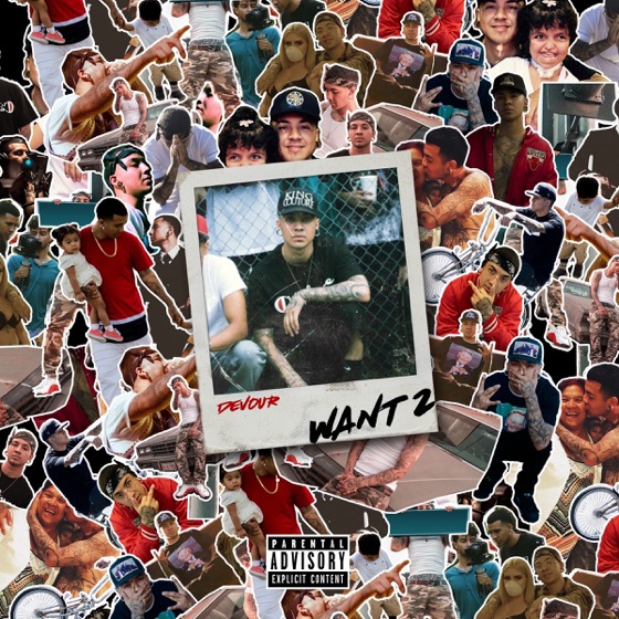 Cover artwork for Want 2