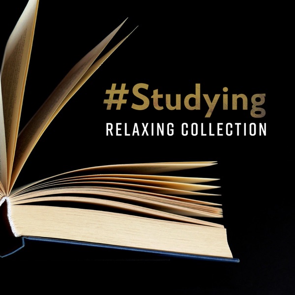 #Studying - Relaxing Collection for Concentration and Better Learning