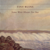 Tiny Ruins - Some Were Meant for Sea Grafik