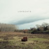 Lovecats - EP