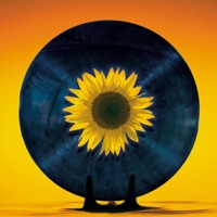 Spinning (feat. Meg) - Single - Habbit