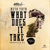 What Does It Take artwork