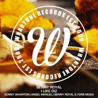 I Like Diz - Single - Benny Royal