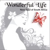 Wonderful Life - New Soul of South Africa