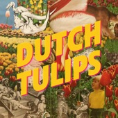 Dutch Tulips - Darlin'