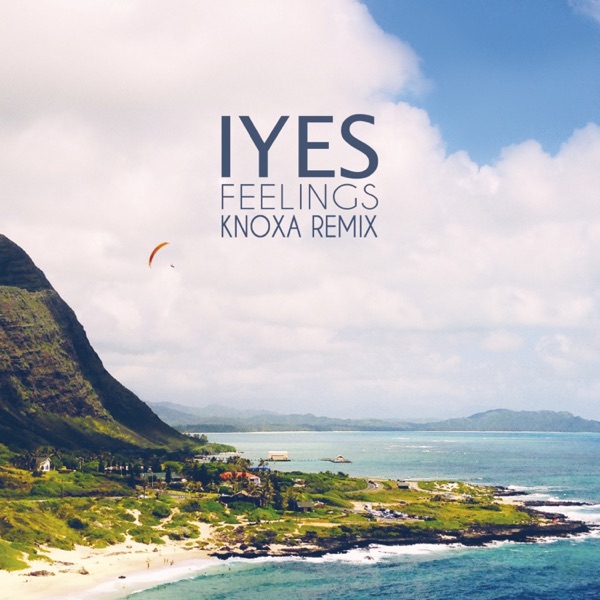 Feelings (KNOXA Remix) - Single