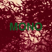 Mono (feat. Hidden) [Thool Remix] artwork