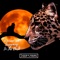 Screaming in the Dark (Deso Remix) - Elegant Ape lyrics