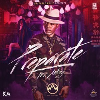 Preparate - Single - Mr. Antony