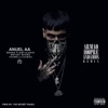 Anuel AA & The Secret Panda