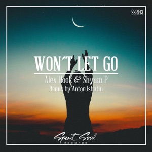 Won't Let Go - Single