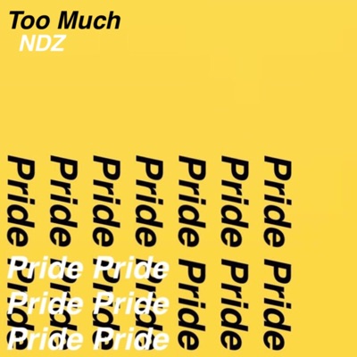 Too Much - Single