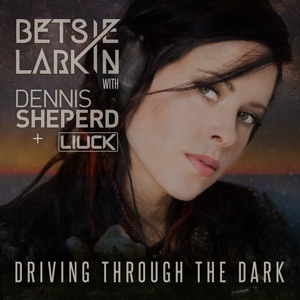 Driving Through the Dark (Extended Mix)