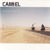 Trying to Get to You - Camiel