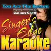 Stream & download You Are the Reason (Originally Performed By Calum Scott) [Karaoke]