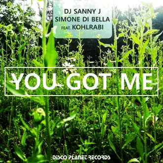 You Got Me (feat. Kohlrabi) by DJ Sanny J & Simone Di Bella song reviws