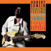 Hubert Sumlin - Blue Shadows (feat. James "Thunderbird" Davis & Darrell Nulisch)