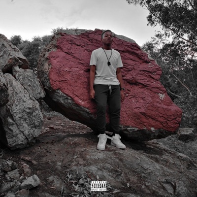 Did It - Single