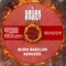 Burn Babylon (Dubwise Mix) [feat. Neekoshy] - Boombassbrothers lyrics