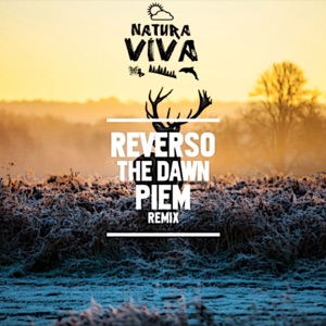 The Dawn - Single