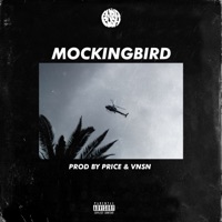 Mockingbird - Single - Audio Push