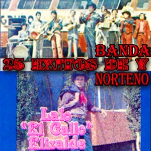 25 Éxitos de Banda y Norteño