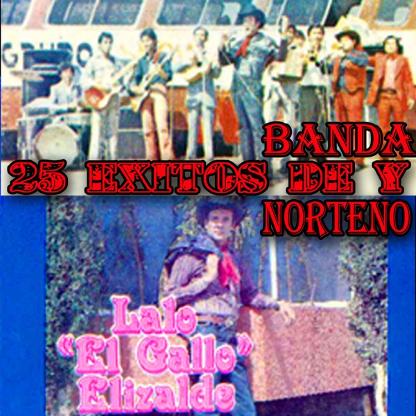 25 Éxitos de Banda y Norteño