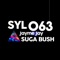 Suga Bush (Derek Armstrong Remix) - Jayme Jay lyrics