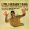 Goodnight Irene - Little Richard lyrics