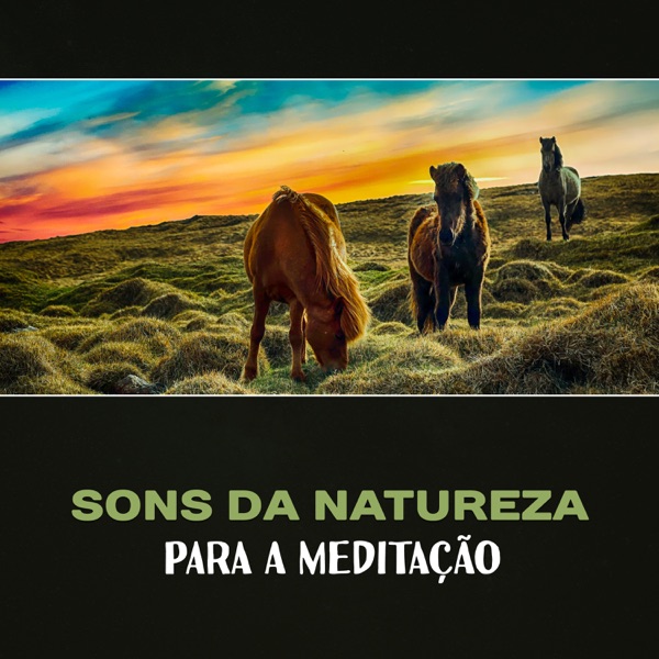 Sons da Natureza para a Meditação - Música Calmante e Espiritual para Exercícios de Meditação, Alcançar Harmonia, Paz e Equilíbrio