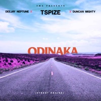 Odinaka (feat. DJ Neptune & Duncan Mighty) - Single - Tspize