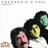 S.T.S. - I Hab Di Leben G'sehn