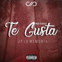 Te Gusta - Single - Jp la Memoria