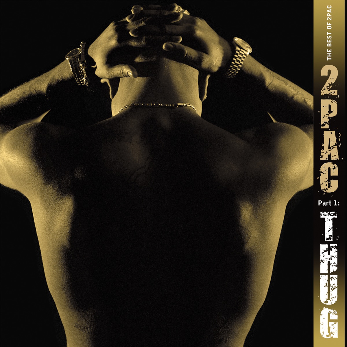‎The Best of 2Pac, Pt. 1: Thug - Album by 2Pac - Apple Music