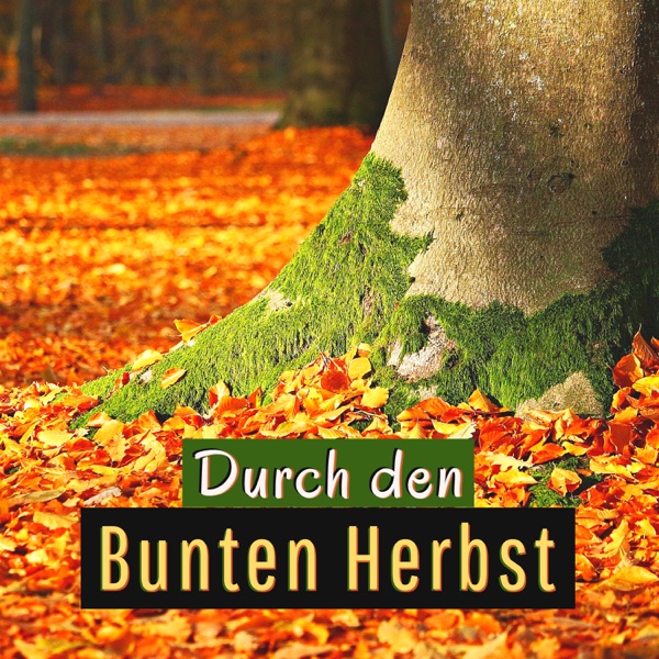 Durch den Bunten Herbst: Beruhigende Musik, um den Geist zu Beruhigen und in Harmonie mit der Welt zu Entspannen