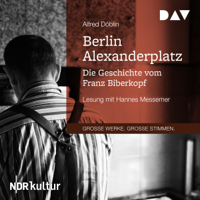 Alfred Döblin - Berlin Alexanderplatz: Die Geschichte vom Franz Biberkopf artwork