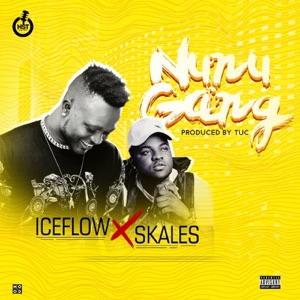 Nunu Gang (feat. Skales)