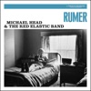 Michael Head & The Red Elastic Band