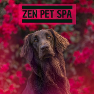 Zen Pet Spa