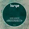 Sebb Junior - Feel the Same