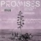 Promises (Extended Mix) - Single