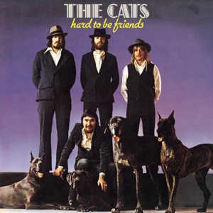 The Cats - Like A Spanish Song - 排舞 音乐