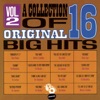 A Collection of 16 Big Hits, Vol. 2, 2004