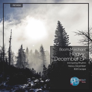 Heavy December - Single